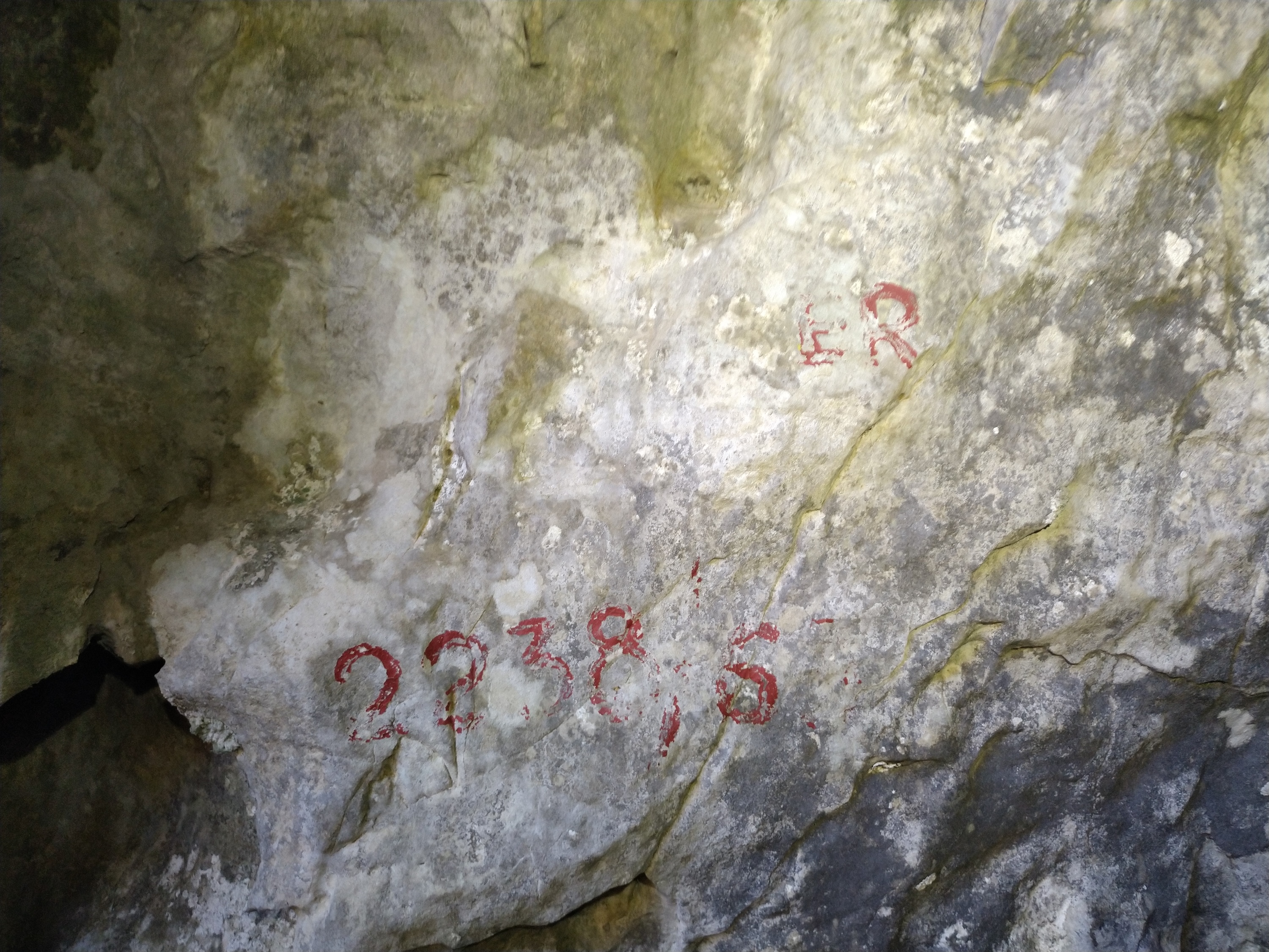 Peștera Surprizei - Image 2